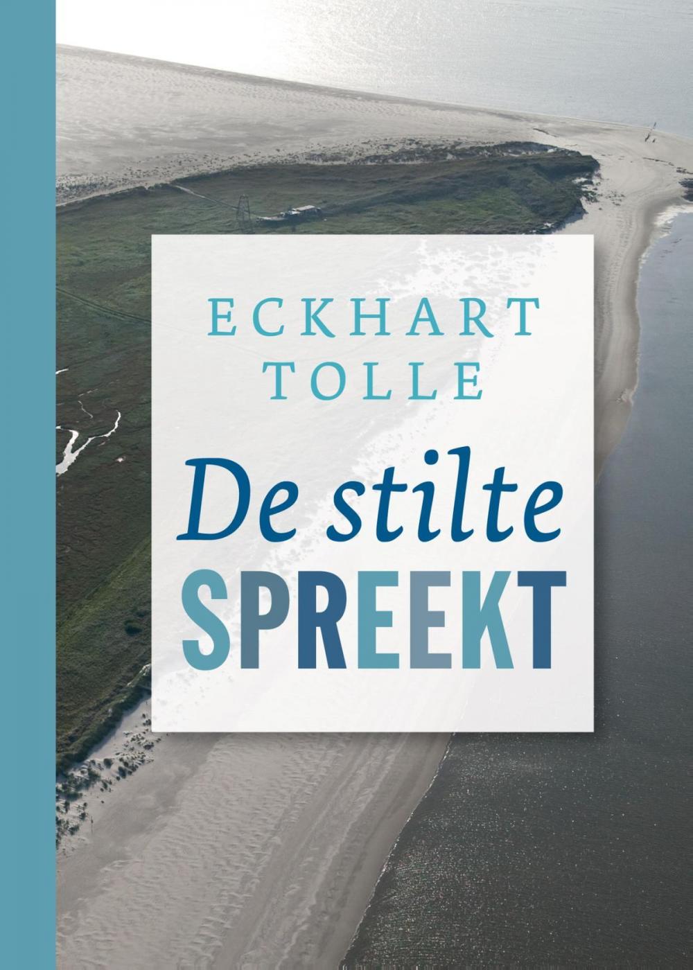 Big bigCover of De stilte spreekt