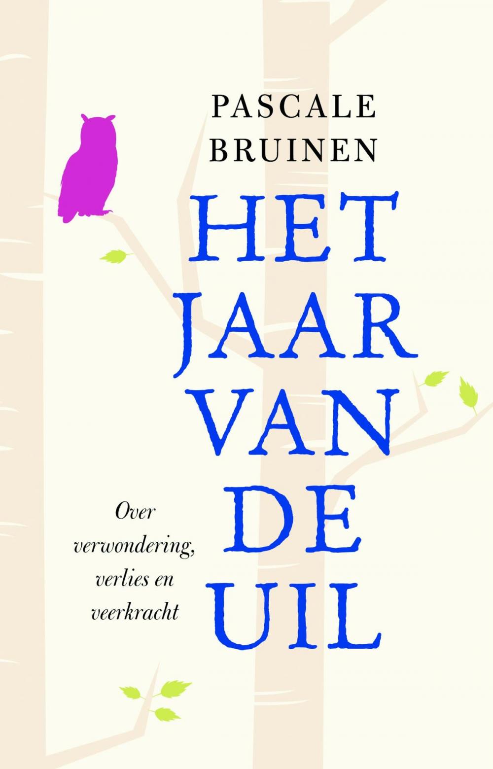 Big bigCover of Het jaar van de uil