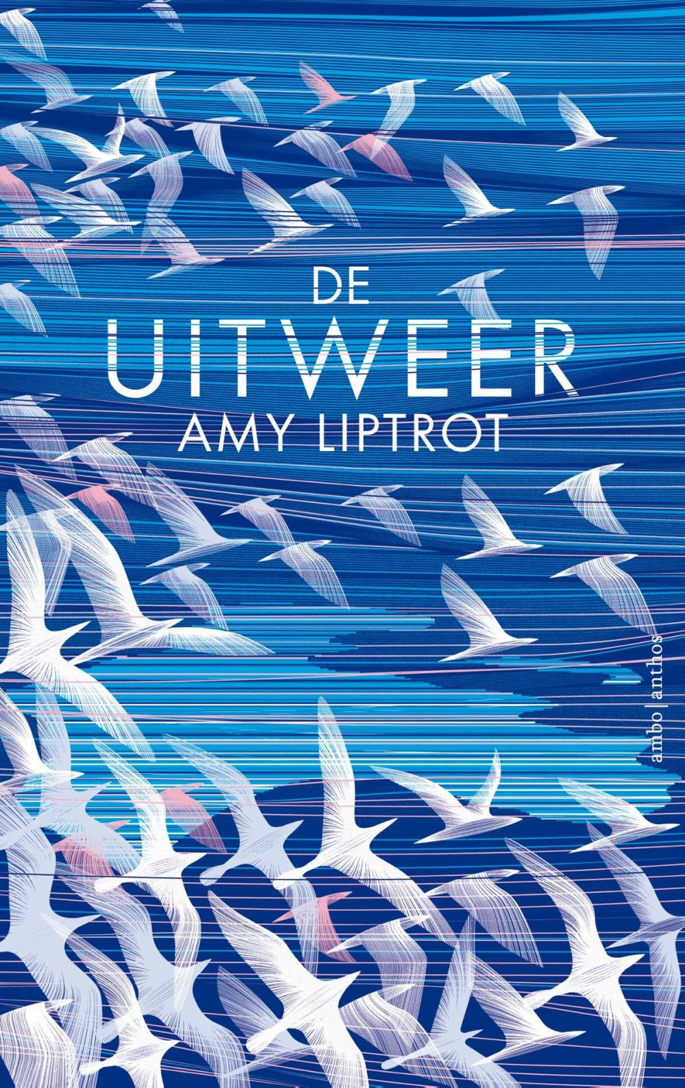 Big bigCover of De uitweer