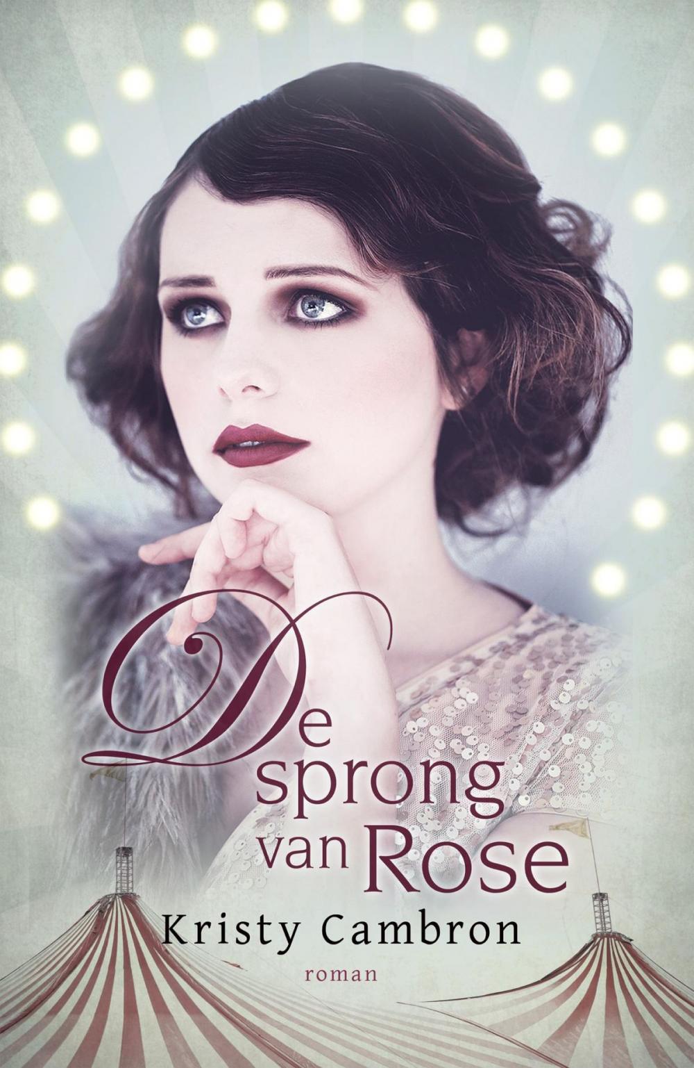 Big bigCover of De sprong van Rose