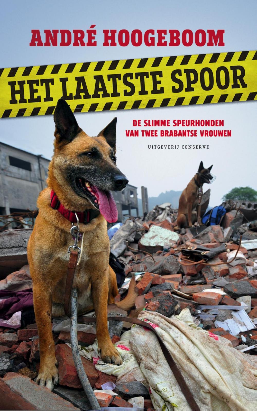 Big bigCover of Het laatste spoor