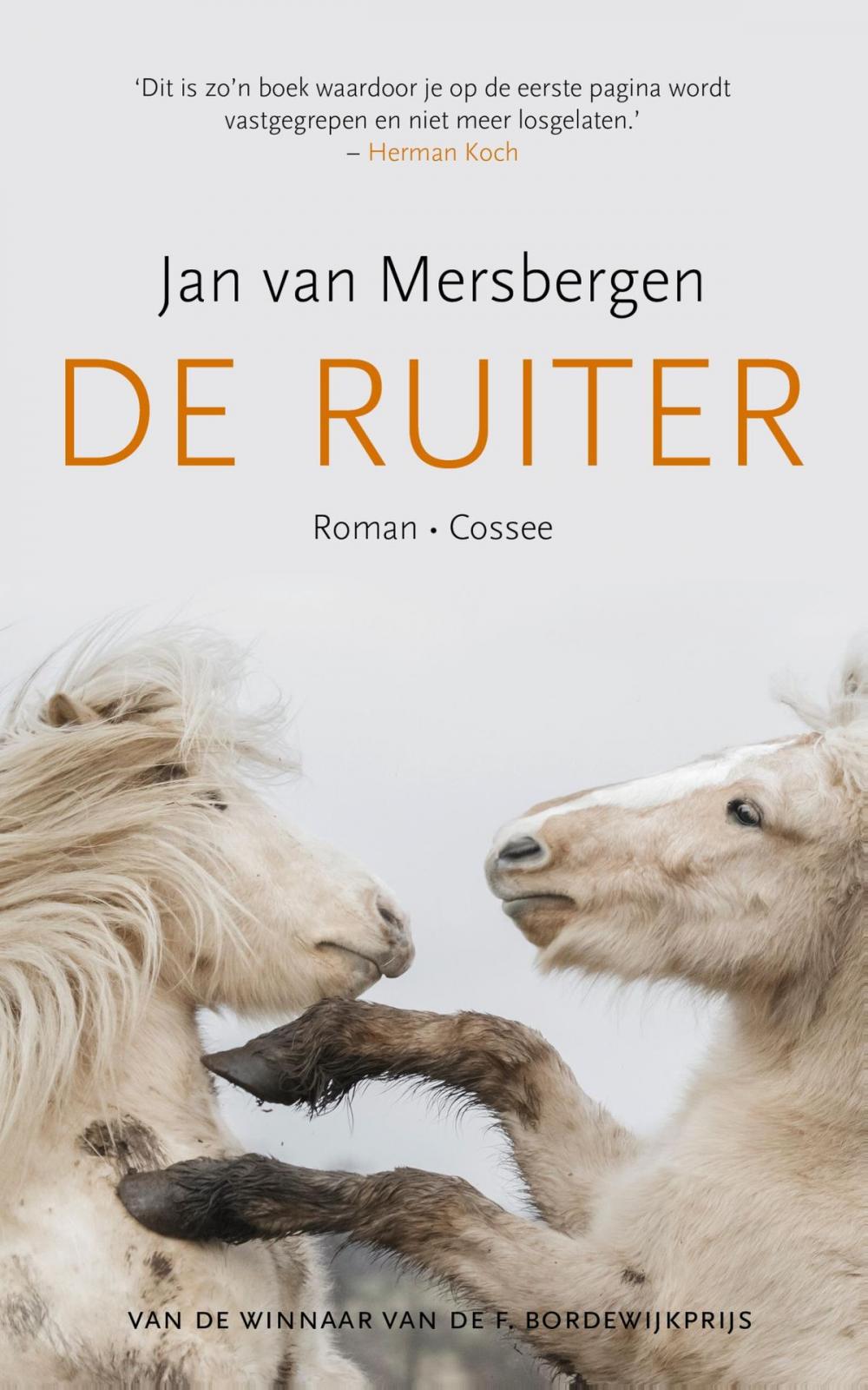 Big bigCover of De ruiter