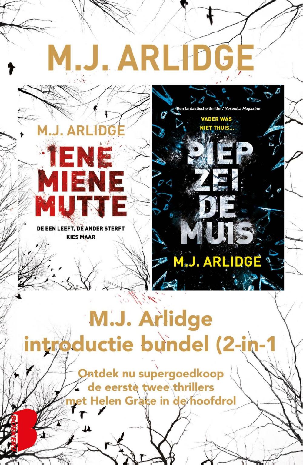 Big bigCover of M.J. Arlidge introductie bundel (2-in-1)