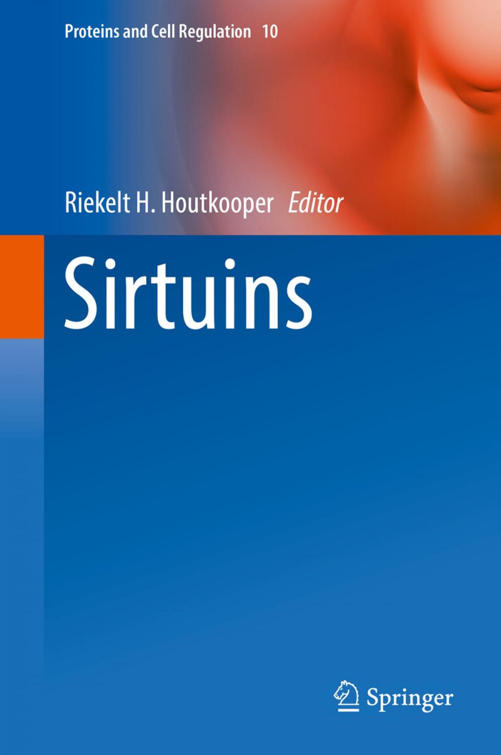 Big bigCover of Sirtuins