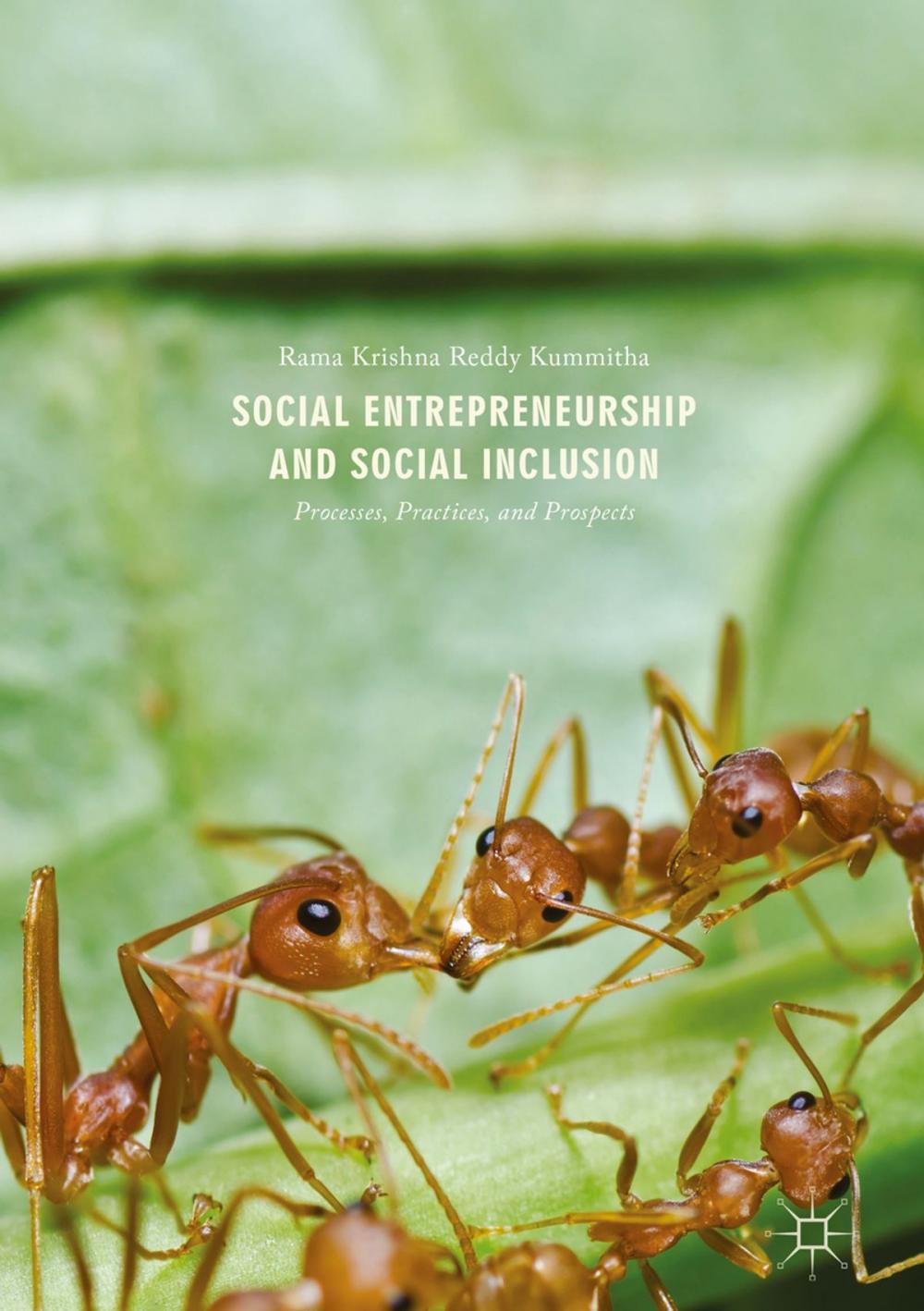 Big bigCover of Social Entrepreneurship and Social Inclusion