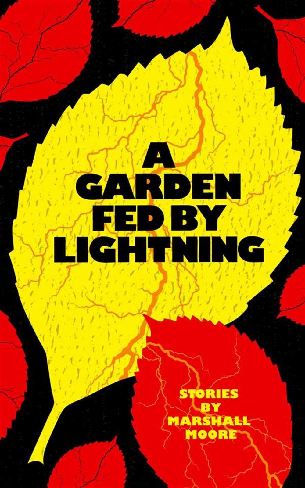 Big bigCover of A Garden Fed by Lightning