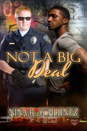 Cover of the book Not A Big Deal by Jenn Dease