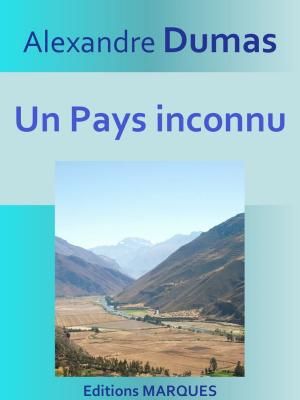 Cover of the book Un Pays inconnu by T. Combe