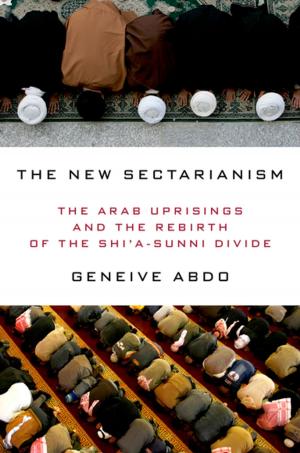 Cover of the book The New Sectarianism by Kevin Karnes