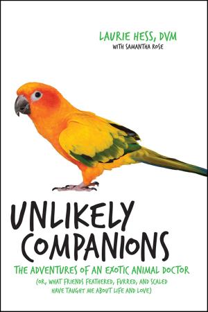 Cover of the book Unlikely Companions by Anna Godbersen