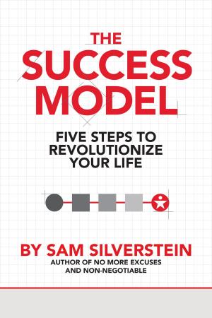 Cover of the book The Success Model by Shawn Doyle, CSP