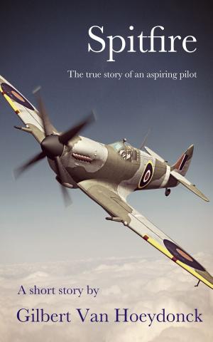 Cover of Spitfire