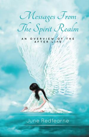 Book cover of Messages From The Spirit Realm