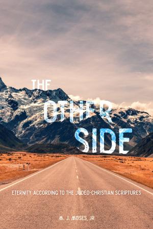 Cover of the book The Other Side by Tom Brophy