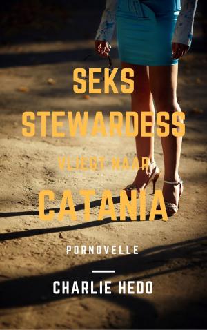 Cover of the book Seksstewardess vliegt naar Catania by L.B. Simon