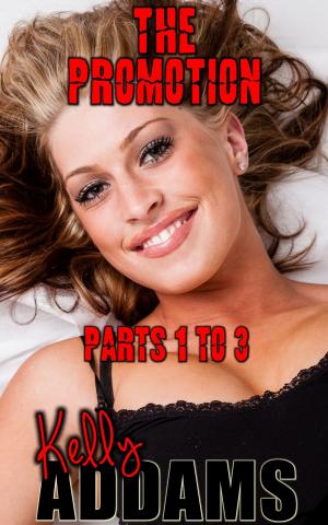 Book cover of The Promotion: Parts 1 to 3