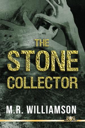 Cover of the book The Stone Collector by Joel Jenkins, Christofer Nigro, Shannon Muir, Percival Constantine