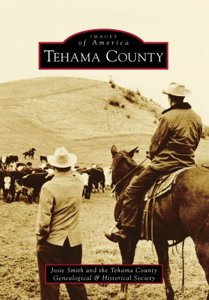 Cover of the book Tehama County by David Hickey
