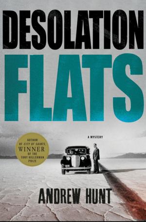 Cover of the book Desolation Flats by Rebecca Tope