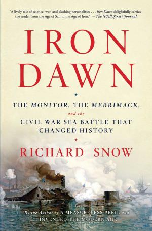Book cover of Iron Dawn