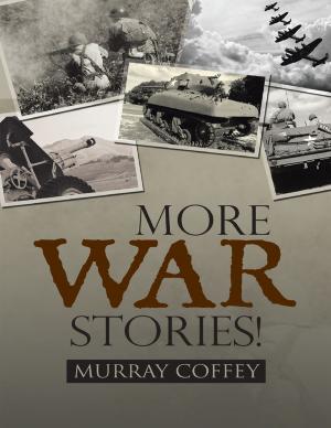 Cover of the book More War Stories! by David L. Biles M.A., Ed.D.