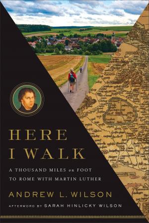 Cover of the book Here I Walk by Brian J. Walsh