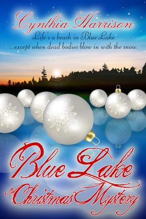 Cover of the book Blue Lake Christmas Mystery by Brenda  Moguez