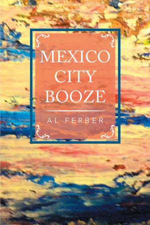 Cover of the book Mexico City Booze by Reynaldo Reyes