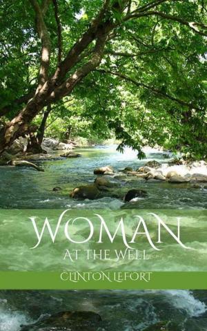 Cover of the book Woman at the Well by Pamela S Thibodeaux