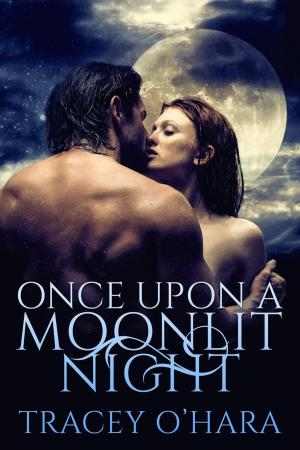 Cover of the book Once Upon a Moonlit Night by Stephanie K. Sinclair