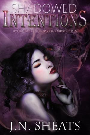 Cover of the book Shadowed Intentions by Travis Heermann