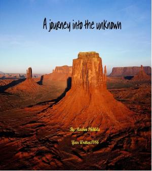 Cover of the book A Journey into the Unknown by Melanie Wolfers, Andreas Knapp