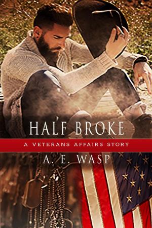 Cover of the book Half Broke by T. E. Rudy