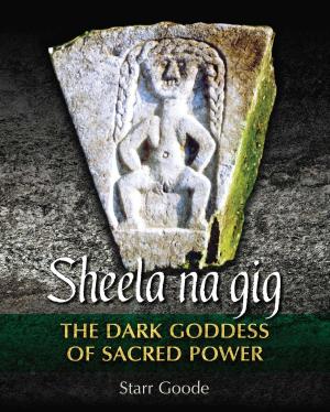 Cover of the book Sheela na gig by Katie Wright