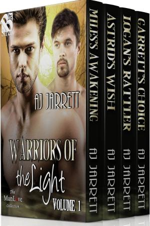 Cover of the book Warriors of the Light, Volume 1 by Frank Spreader