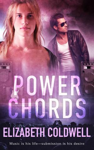 Book cover of Power Chords