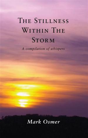 Cover of the book Stillness Within The Storm: A compilation of whispers by M P Middleton