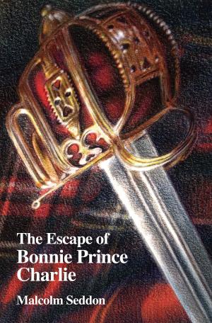 bigCover of the book The Escape of Bonnie Prince Charlie by 
