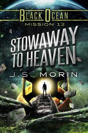 Cover of the book Stowaway to Heaven by J. S. Morin, M. A. Larkin