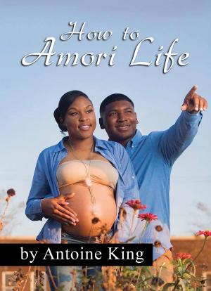 Cover of the book How to Amori Life by Deirdre Edgette