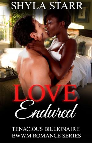 Cover of the book Love Endured by Eric Mrozek
