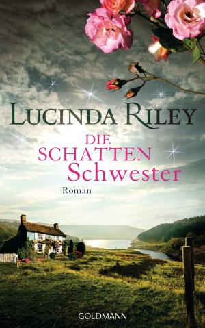 Cover of the book Die Schattenschwester by Andreas Gruber