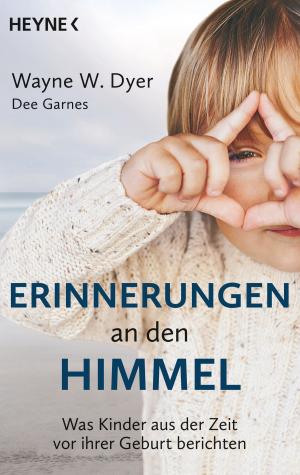Book cover of Erinnerungen an den Himmel