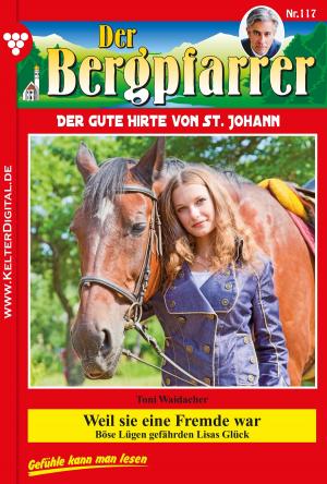 Cover of the book Der Bergpfarrer 117 – Heimatroman by Michaela Dornberg