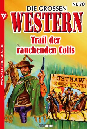 Book cover of Die großen Western 170