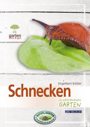 Cover of the book Schnecken by Boris Ehret, Sabine Wamper