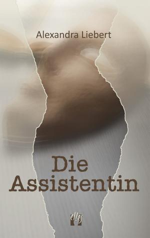 Cover of the book Die Assistentin by Lindsey Schussman