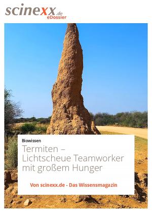 Cover of the book Termiten by Ansgar Kretschmer
