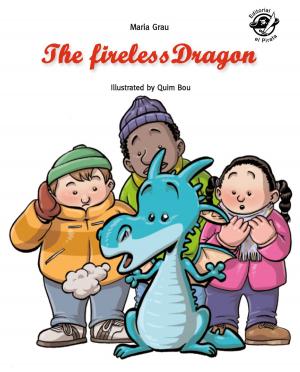 Book cover of The fireless dragon