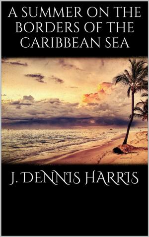 Book cover of A summer on the borders of the Caribbean sea